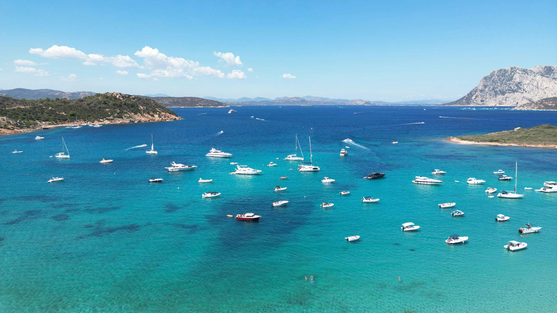 BlueCarService_Destinazioni_Porto-Rotondo_Yacht-Marina-Transfer_1 Yacht & Marina Transfers Porto Rotondo
