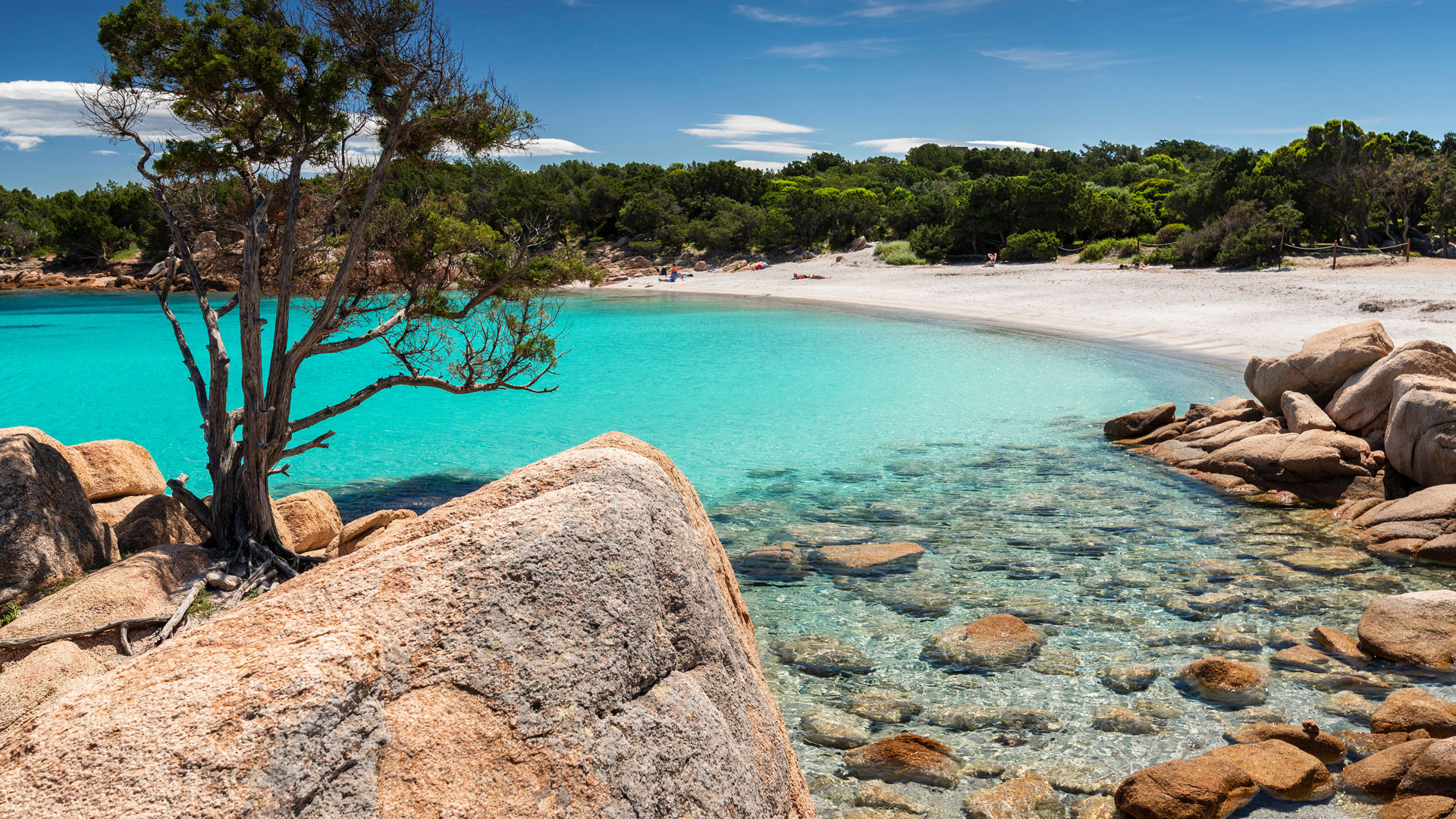 BlueCarService_Destinazioni_Sardegna_1 Trasporti privati nei luoghi di interesse in Sardegna